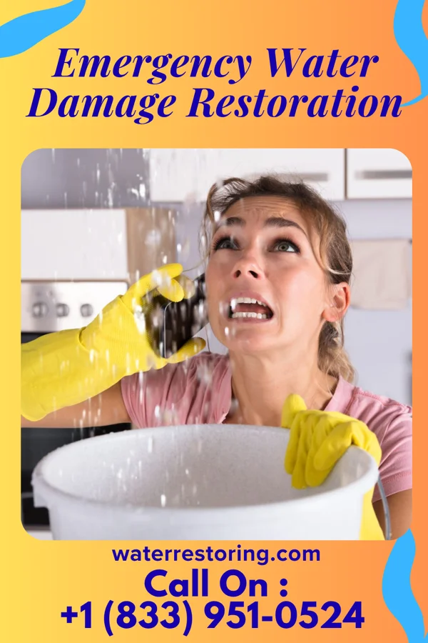 Emergency Water Damage Restoration in Bassfield, MS