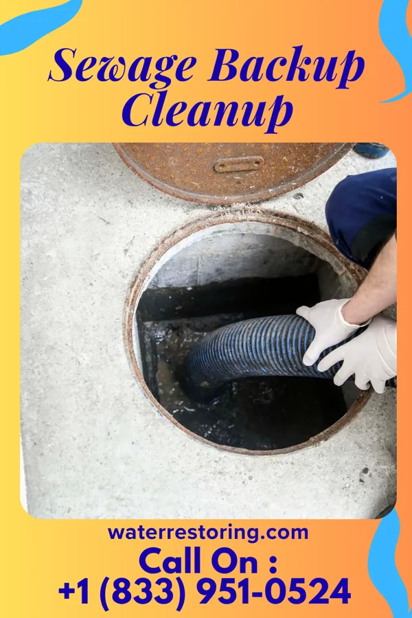 Sewage Backup Cleanup in Bassfield, MS