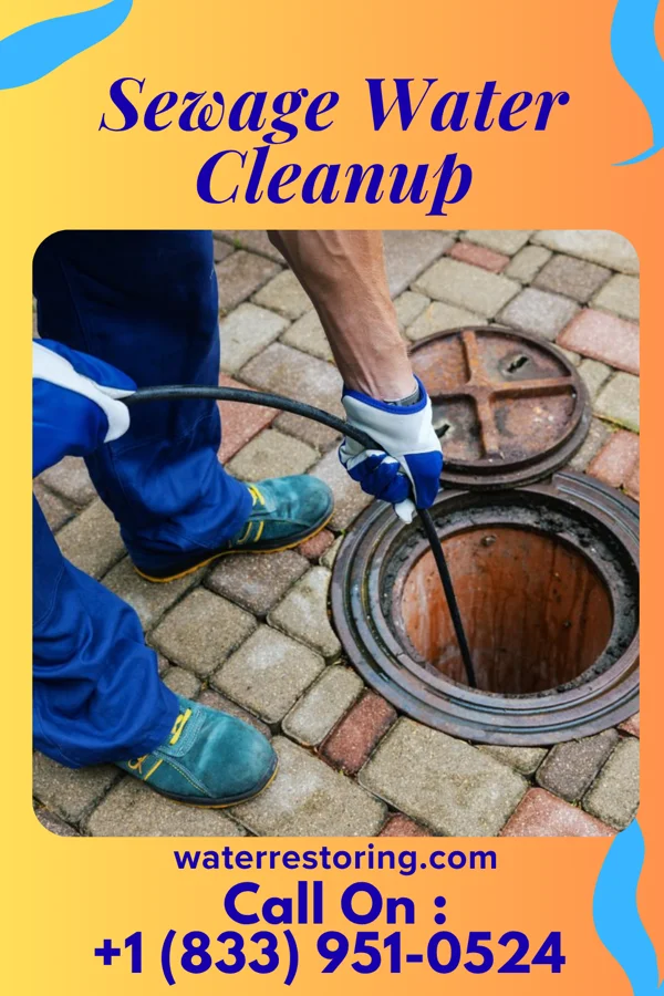 Sewage Water Cleanup in Bassfield, MS