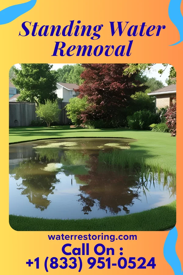 Standing Water Removal in Bassfield, MS
